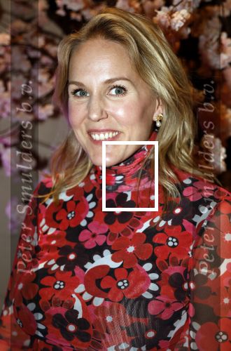 Amsterdam 23 oktober 2023
Presentatie nieuwe cover Kek Mama op event van Friends of the brands in het Lido . Hadewych Minis
