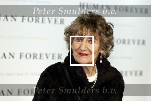 Amsterdam 9 oktober 2023
Premiere Human Forever door oa Teun Toebes in Tuschinski. Hedy D Ancona