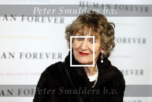 Amsterdam 9 oktober 2023
Premiere Human Forever door oa Teun Toebes in Tuschinski. Hedy D Ancona