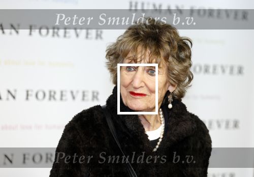 Amsterdam 9 oktober 2023
Premiere Human Forever door oa Teun Toebes in Tuschinski. Hedy D Ancona