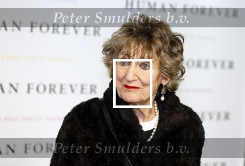 Amsterdam 9 oktober 2023
Premiere Human Forever door oa Teun Toebes in Tuschinski. Hedy D Ancona