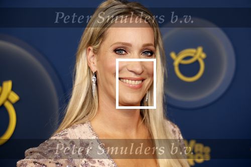 Amsterdam 12 oktober 2023
Televizierring 2023 in Carre .
Helene Hendriks