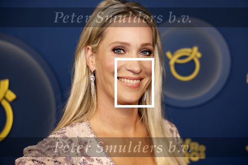 Amsterdam 12 oktober 2023
Televizierring 2023 in Carre .
Helene Hendriks