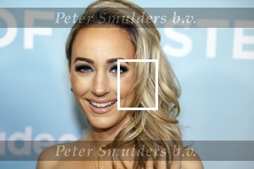 Amsterdam 25 oktober 2023
Presentatie seizoen 2 van The real housewives of Amsterdam in het College Hotel.
In seizoen 2 bestaat de cast uit Helle Huizinga Maria Tailor Susanna Klibansky Tamara Elbaz Kimmylien Nguyen en  Cherry Ann Person