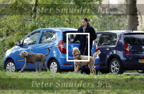 Omgeving Amsterdam 14 oktober 2023
Igone de Jongh heeft een nieuw huis na haar scheiding van Thijs Romer . Igone laat allebei de honden uit.