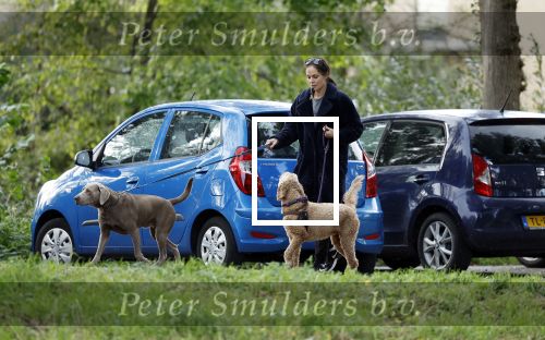 Omgeving Amsterdam 14 oktober 2023
Igone de Jongh heeft een nieuw huis na haar scheiding van Thijs Romer . Igone laat allebei de honden uit.