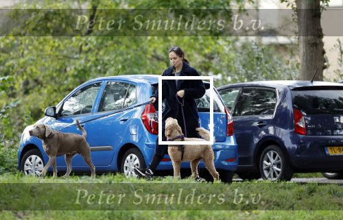 Omgeving Amsterdam 14 oktober 2023
Igone de Jongh heeft een nieuw huis na haar scheiding van Thijs Romer . Igone laat allebei de honden uit.