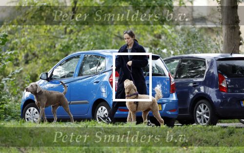 Omgeving Amsterdam 14 oktober 2023
Igone de Jongh heeft een nieuw huis na haar scheiding van Thijs Romer . Igone laat allebei de honden uit.