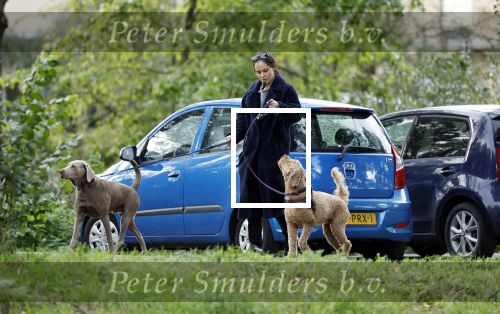Omgeving Amsterdam 14 oktober 2023
Igone de Jongh heeft een nieuw huis na haar scheiding van Thijs Romer . Igone laat allebei de honden uit.