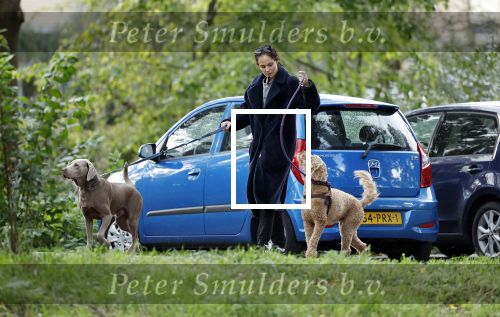 Omgeving Amsterdam 14 oktober 2023
Igone de Jongh heeft een nieuw huis na haar scheiding van Thijs Romer . Igone laat allebei de honden uit.