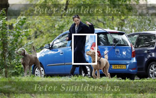 Omgeving Amsterdam 14 oktober 2023
Igone de Jongh heeft een nieuw huis na haar scheiding van Thijs Romer . Igone laat allebei de honden uit.