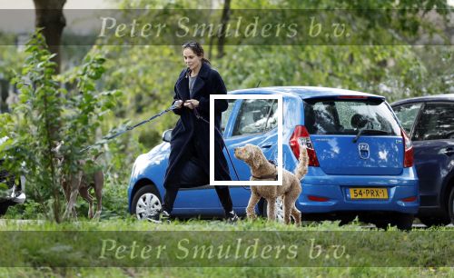 Omgeving Amsterdam 14 oktober 2023
Igone de Jongh heeft een nieuw huis na haar scheiding van Thijs Romer . Igone laat allebei de honden uit.