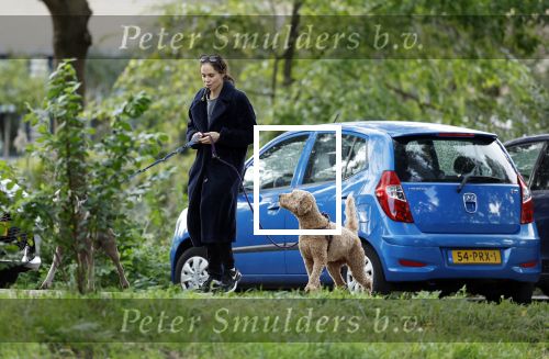 Omgeving Amsterdam 14 oktober 2023
Igone de Jongh heeft een nieuw huis na haar scheiding van Thijs Romer . Igone laat allebei de honden uit.