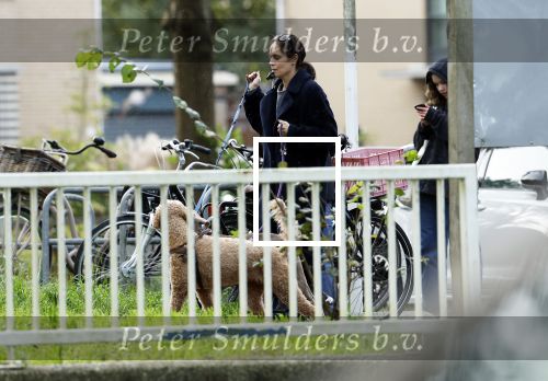 Omgeving Amsterdam 14 oktober 2023
Igone de Jongh heeft een nieuw huis na haar scheiding van Thijs Romer . Igone laat allebei de honden uit.