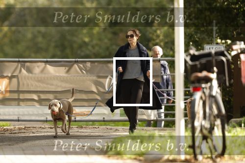 Omgeving Amsterdam 14 oktober 2023
Igone de Jongh heeft een nieuw huis na haar scheiding van Thijs Romer . Igone laat allebei de honden uit.