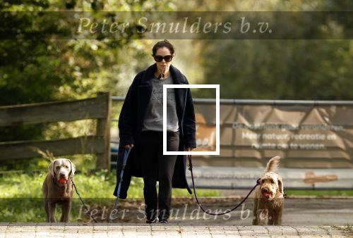 Omgeving Amsterdam 14 oktober 2023
Igone de Jongh heeft een nieuw huis na haar scheiding van Thijs Romer . Igone laat allebei de honden uit.