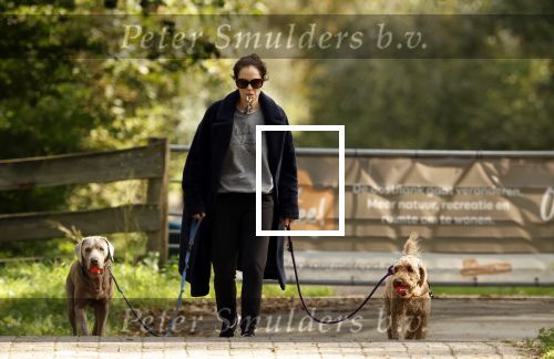 Omgeving Amsterdam 14 oktober 2023
Igone de Jongh heeft een nieuw huis na haar scheiding van Thijs Romer . Igone laat allebei de honden uit.
