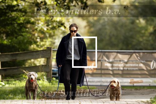 Omgeving Amsterdam 14 oktober 2023
Igone de Jongh heeft een nieuw huis na haar scheiding van Thijs Romer . Igone laat allebei de honden uit.