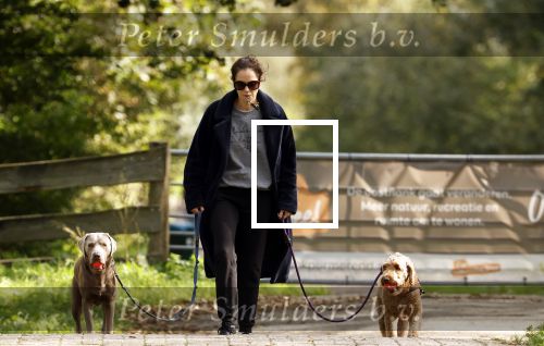 Omgeving Amsterdam 14 oktober 2023
Igone de Jongh heeft een nieuw huis na haar scheiding van Thijs Romer . Igone laat allebei de honden uit.