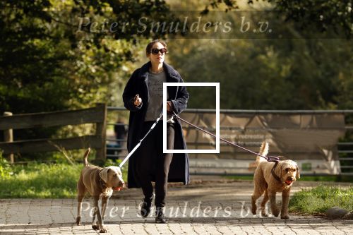 Omgeving Amsterdam 14 oktober 2023
Igone de Jongh heeft een nieuw huis na haar scheiding van Thijs Romer . Igone laat allebei de honden uit.