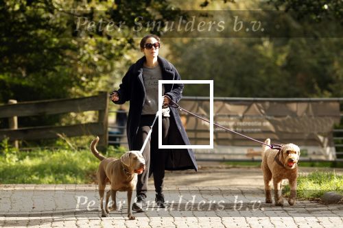 Omgeving Amsterdam 14 oktober 2023
Igone de Jongh heeft een nieuw huis na haar scheiding van Thijs Romer . Igone laat allebei de honden uit.