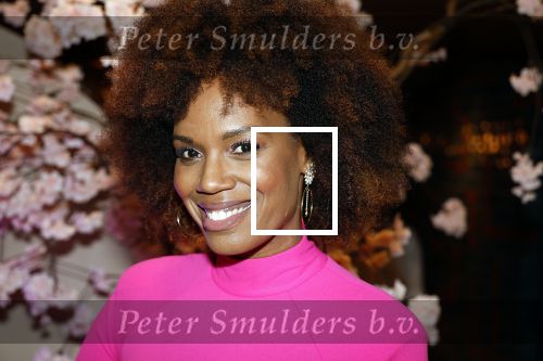 Amsterdam 23 oktober 2023
Presentatie nieuwe cover Kek Mama op event van Friends of the brands in het Lido . Jasmine Sendar