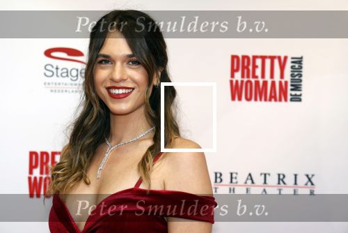 Utrecht 8 oktober 2023
Premiere Pretty Woman in het Beatrixtheater in Utrecht.Julia Sinning