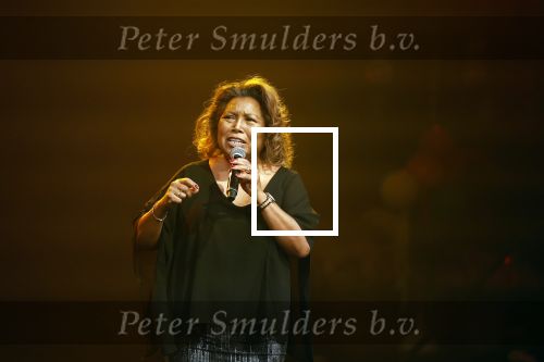 Rotterdam 22 oktober 2023
Justine Pelmelay treedt op bij verkiezing travestiet van het jaar.