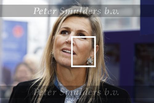 Eindhoven 26 oktober 2023
Koningin Maxima op bezok bij de dutch design week in Eindhoven . Maxima had haar goede vriendin Mariska Dietz mee genomen . Mariska Heeft paleis huis Den Bosch ingericht .