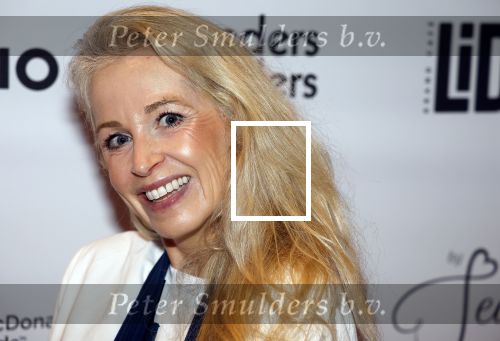 Amsterdam 23 oktober 2023
Presentatie nieuwe cover Kek Mama op event van Friends of the brands in het Lido . Maaike Dorsteen
