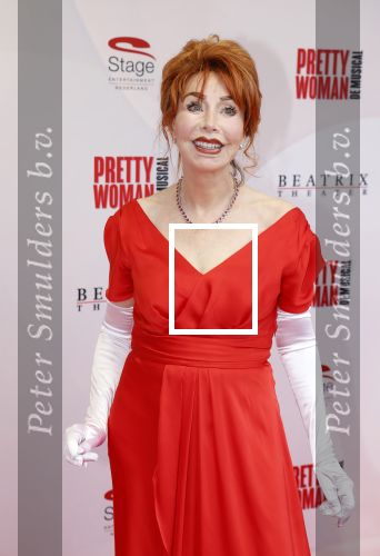 Utrecht 8 oktober 2023
Premiere Pretty Woman in het Beatrixtheater in Utrecht. Marijke Helwegen met Partner Harrie