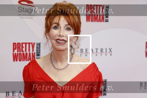 Utrecht 8 oktober 2023
Premiere Pretty Woman in het Beatrixtheater in Utrecht. Marijke Helwegen met Partner Harrie