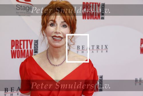 Utrecht 8 oktober 2023
Premiere Pretty Woman in het Beatrixtheater in Utrecht. Marijke Helwegen met Partner Harrie