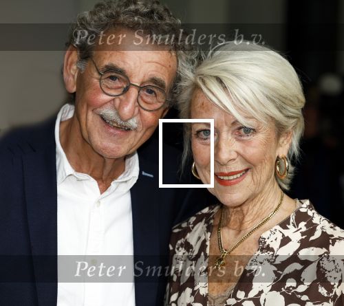 Soestdijk 4 oktober 2023
Presentatie LP Anneke Gronloh op Paleis Soestdijk
Marjon Lambriks met partner