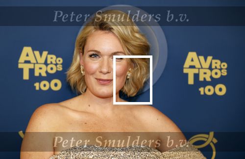 Amsterdam 12 oktober 2023
Televizierring 2023 in Carre .
Marlijn Weerdenburg
