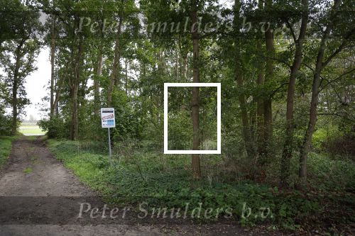 Noordwijk / Noordwijkerhout 16 oktober 2023
Martien Meiland Erica Meiland en Maxime Meilnd hebben een stuk bouwgrond gekocht op landgoed Oud Leeuwenhorst waar ze een nieuwe huis gaan bouwen en daar samen gaan wonen.