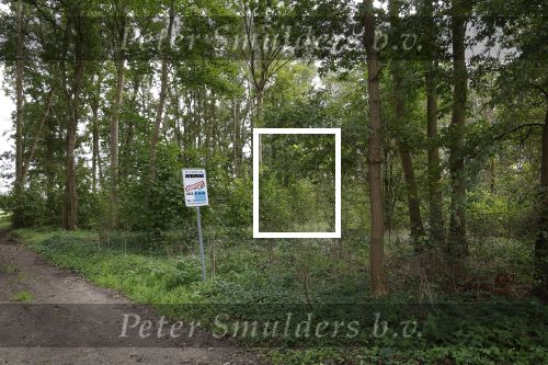 Noordwijk / Noordwijkerhout 16 oktober 2023
Martien Meiland Erica Meiland en Maxime Meilnd hebben een stuk bouwgrond gekocht op landgoed Oud Leeuwenhorst waar ze een nieuwe huis gaan bouwen en daar samen gaan wonen.