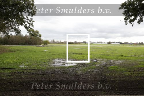 Noordwijk / Noordwijkerhout 16 oktober 2023
Martien Meiland Erica Meiland en Maxime Meilnd hebben een stuk bouwgrond gekocht op landgoed Oud Leeuwenhorst waar ze een nieuwe huis gaan bouwen en daar samen gaan wonen.
