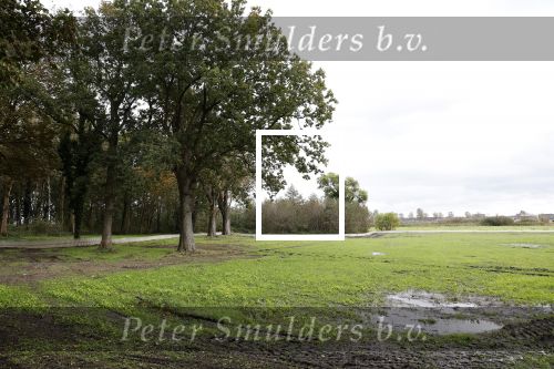 Noordwijk / Noordwijkerhout 16 oktober 2023
Martien Meiland Erica Meiland en Maxime Meilnd hebben een stuk bouwgrond gekocht op landgoed Oud Leeuwenhorst waar ze een nieuwe huis gaan bouwen en daar samen gaan wonen.