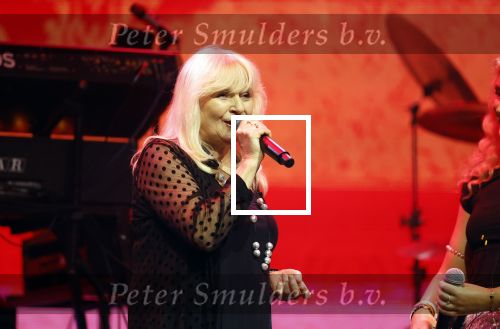 Tilburg 2 oktober 2023
Buma Prijzen in 013 in Tilburg .
Zangeres Mieke zingt samen met Marco Schuitmaker het liedje Engelbewaarder.