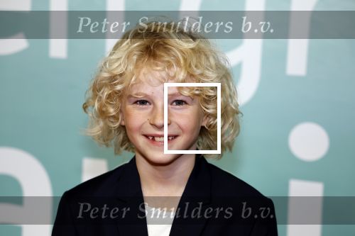Amsterdam 10 oktober 2023
Premiere een grote familie in Tuschinski . Vidoeland gaat het uitzenden. Moos Hofstra