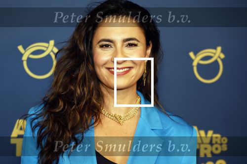Amsterdam 12 oktober 2023
Televizierring 2023 in Carre .
Nadia Moussaid