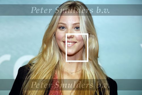 Amsterdam 10 oktober 2023
Premiere een grote familie in Tuschinski . Vidoeland gaat het uitzenden. Noa Jacobus