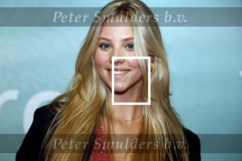 Amsterdam 10 oktober 2023
Premiere een grote familie in Tuschinski . Vidoeland gaat het uitzenden. Noa Jacobus