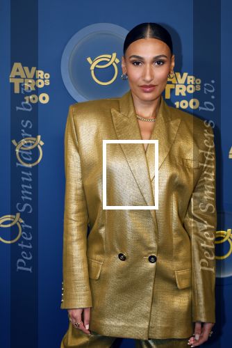 Amsterdam 12 oktober 2023
Televizierring 2023 in Carre .
Ona Moody