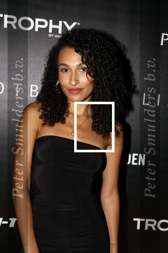 Amsterdam 30 oktober 2023
Life after Football gala LAF in grand Hotel Krasnapolsky. Ona Moody