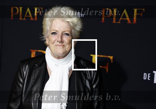 Amsterdam 13 oktober 2023
Premiere Piaf in het DeLamar theater. pamela Teves met partner