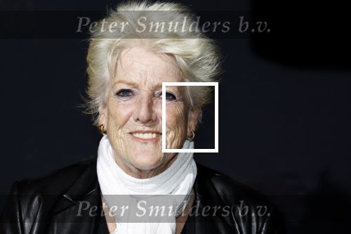 Amsterdam 13 oktober 2023
Premiere Piaf in het DeLamar theater. pamela Teves met partner