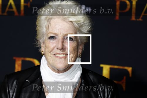 Amsterdam 13 oktober 2023
Premiere Piaf in het DeLamar theater. pamela Teves met partner