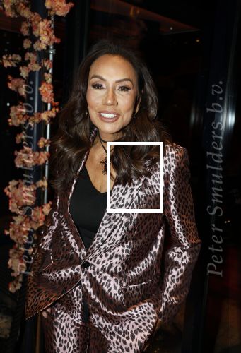 Amsterdam 23 oktober 2023
Presentatie nieuwe cover Kek Mama op event van Friends of the brands in het Lido . Patty Brard